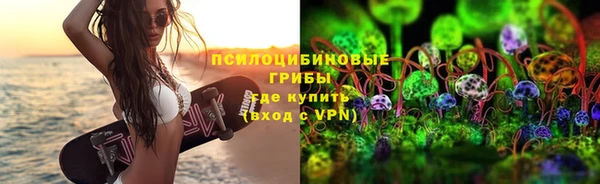спиды Алзамай
