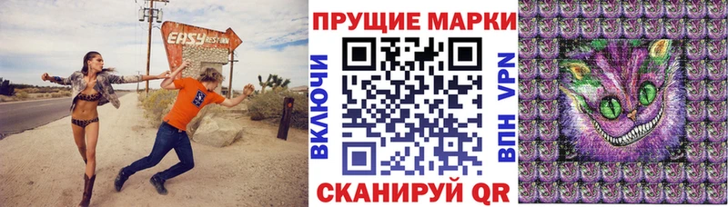 дарк нет Telegram  Любань  Марки NBOMe 1,8мг 
